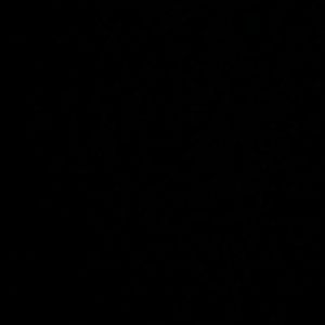 Meet your Posher, Alize